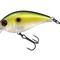 Green Shad