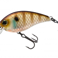 Natural Bluegill