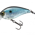 Prism Shad