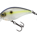 Sexy Shad