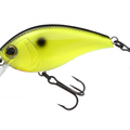 Black Back Chartreuse