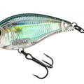 Real Gizzard Shad