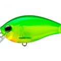 Green Back Chartreuse (Homer)