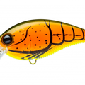 Burnt Orange Crawfish
