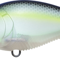 Matte Ghost Sexy Shad