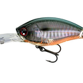 Prism Tennessee Shad
