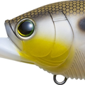 Matte Gizzard Shad