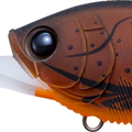 Matte Translucent Brown Crawfish