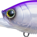 Sunset Shad