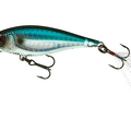 Prism Shad