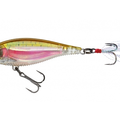 Real Rainbow Trout