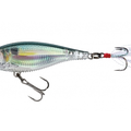 Real Gizzard Shad