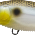 Matte Gizzard Shad