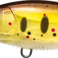 Peaarl Brown Trout