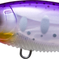 Pearl Purple Trout