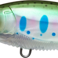 Pearl Rainbow Trout