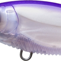 Sunset Shad