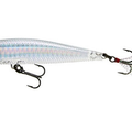Prism Ghost Shad