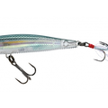 Real Gizzard Shad