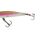Real Rainbow Trout