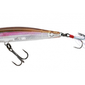 Real Smelt