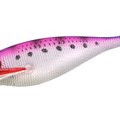 CL79
