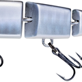 Gizzard Shad