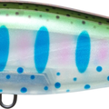 Pearl Rainbow Trout