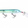 Real Blueback Herring