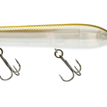 Gizzard Shad