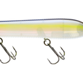 Ghost Sexy Shad