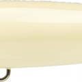 Bone