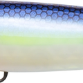 Ghost Sexy Shad