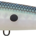 Matte Green Gizzard Shad