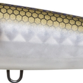 Matte Gizzard Shad