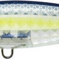 Ghost Sexy Shad