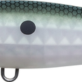 Matte Green Gizzard Shad