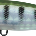 Matte Ghost Perch