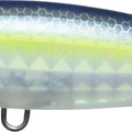 Matte Ghost Sexy Shad