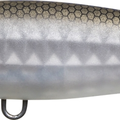 Matte Gizzard Shad