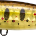 Pearl Brown Trout