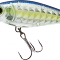 Ghost Sexy Shad