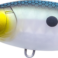 Matte Green Gizzard Shad