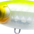 Matte Ghost Pearl Chart Back