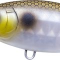 Matte Gizzard Shad