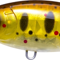 Pearl Brown Trout