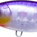 Pearl Purple Trout