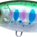 Pearl Rainbow Trout