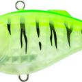 Luminescent Tiger