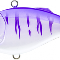 UV Purple Tiger